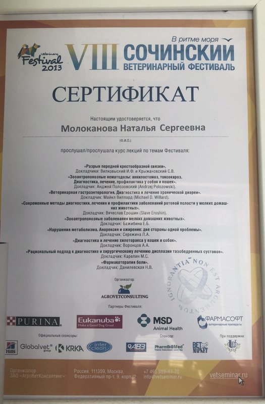 Документ или сертификат