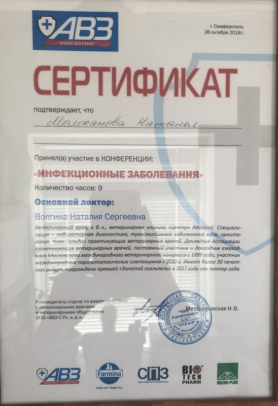 Документ или сертификат