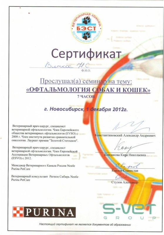 Документ или сертификат