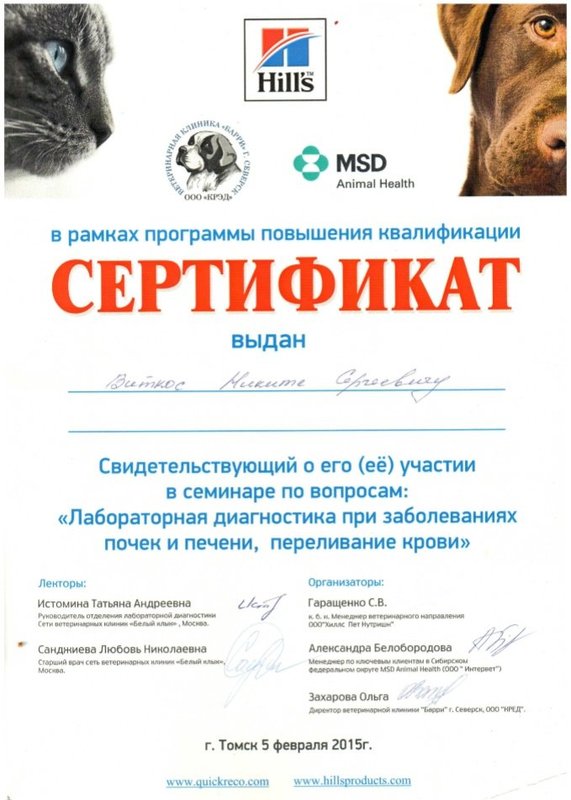 Документ или сертификат