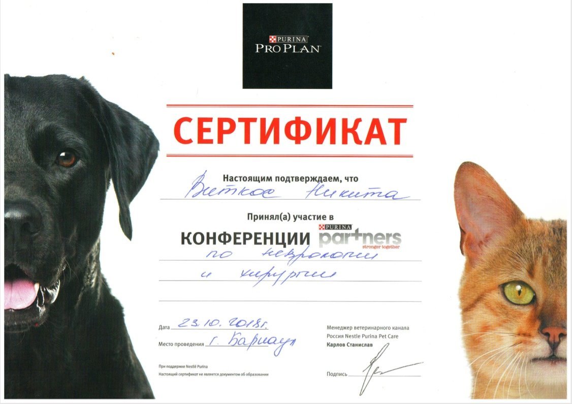 Документ или сертификат