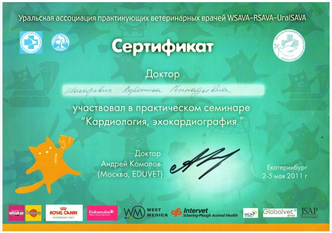 Документ или сертификат
