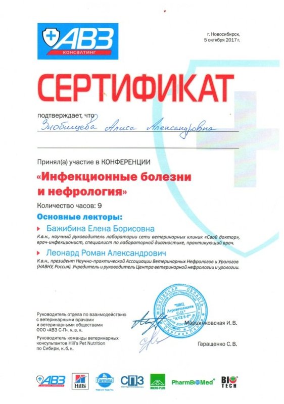 Документ или сертификат