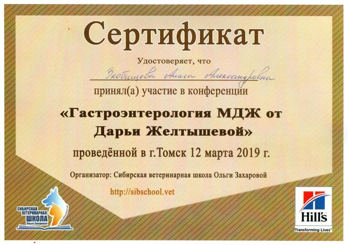 Документ или сертификат