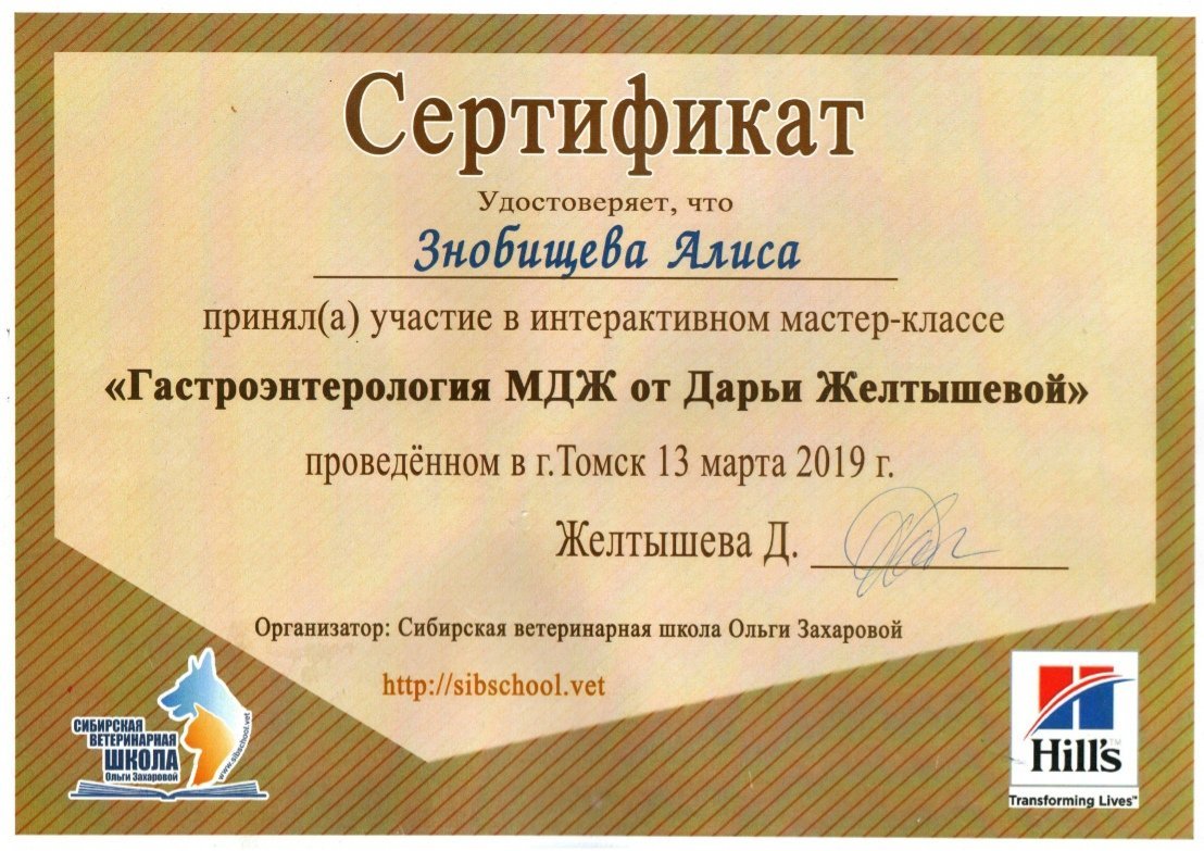 Документ или сертификат
