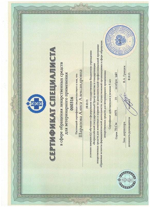 Документ или сертификат
