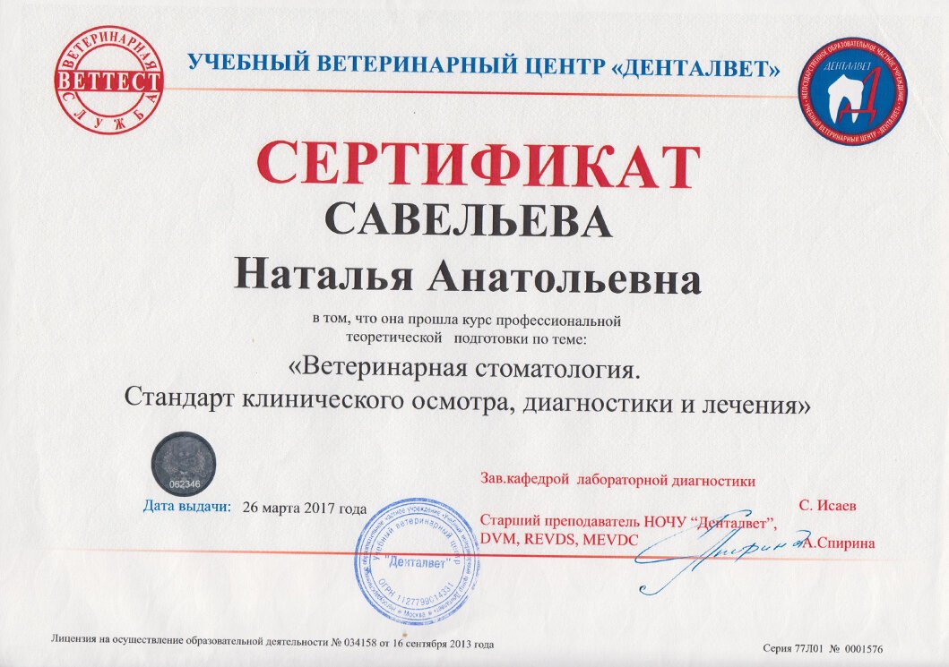 Документ или сертификат