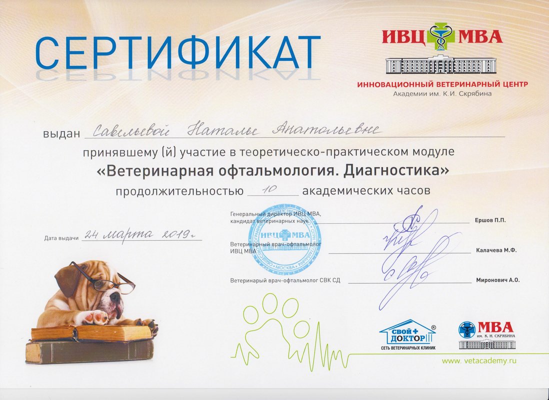 Документ или сертификат