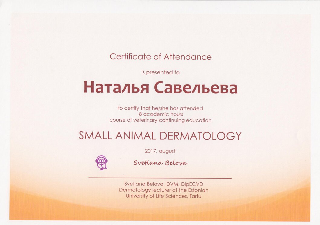 Документ или сертификат