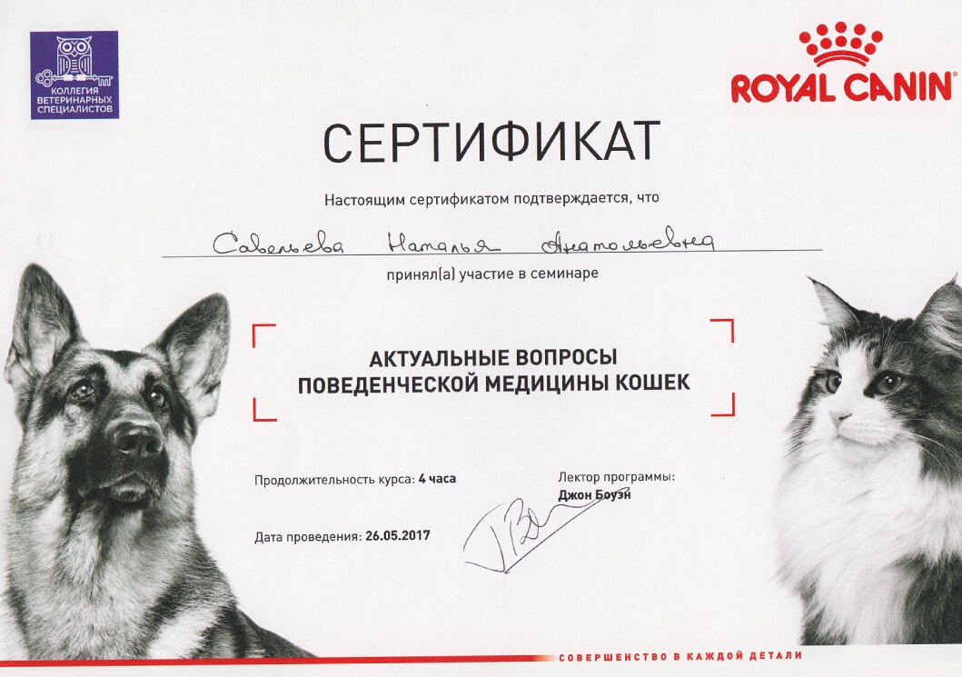 Документ или сертификат