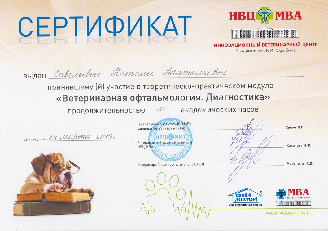 Документ или сертификат