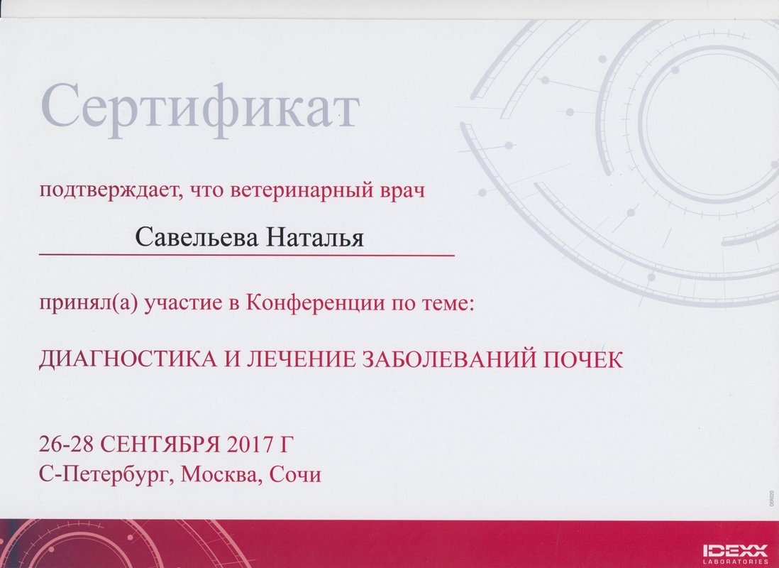 Документ или сертификат