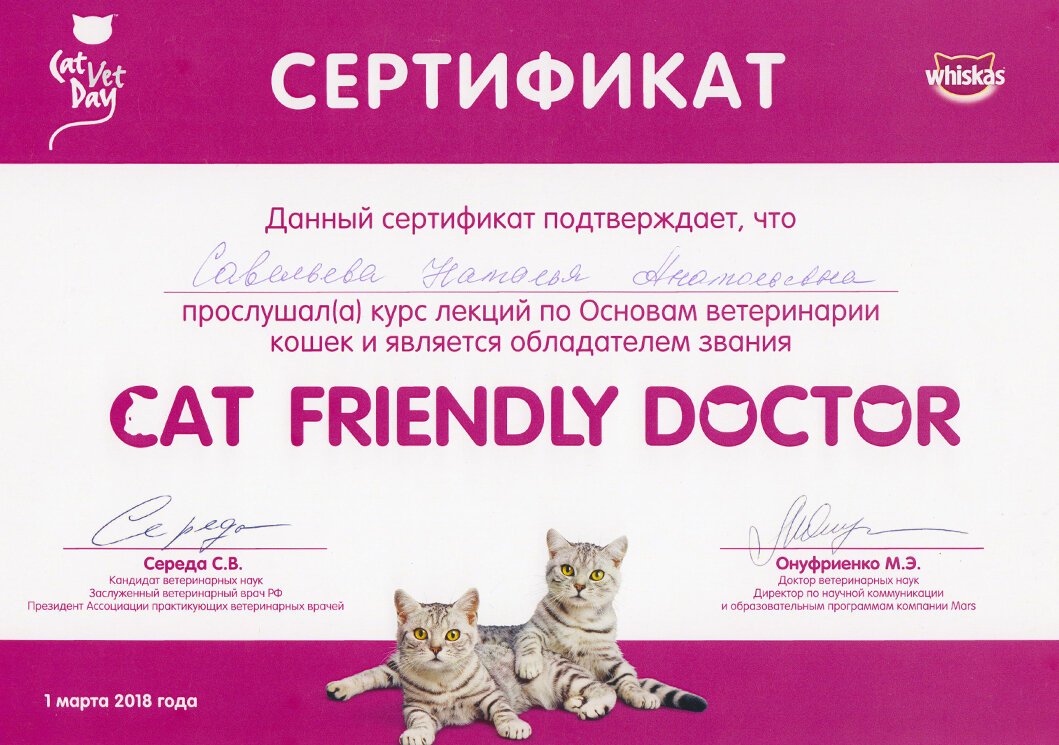 Документ или сертификат