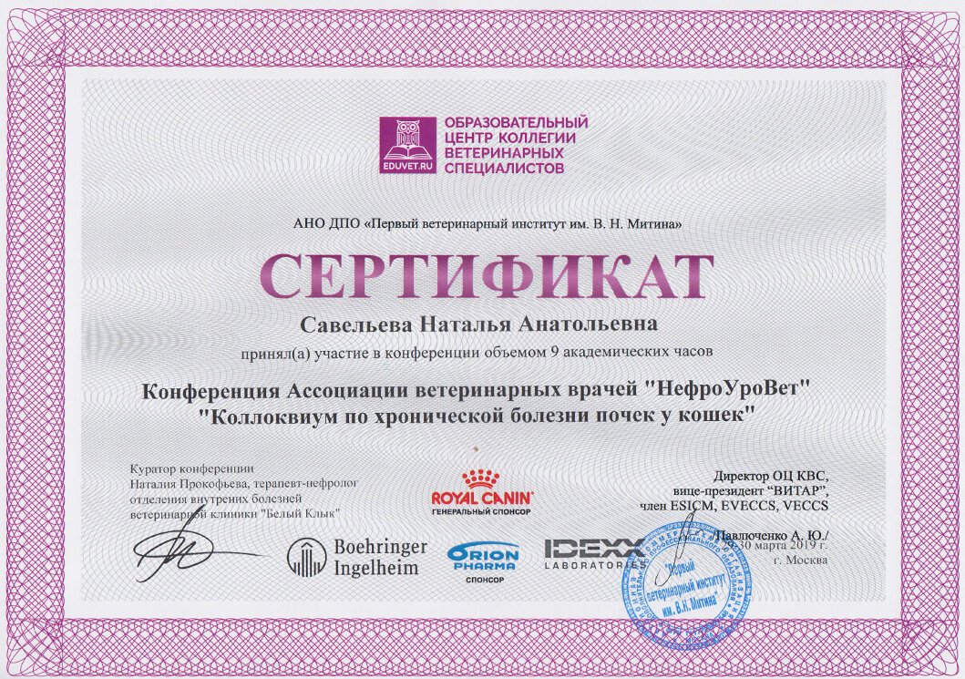 Документ или сертификат