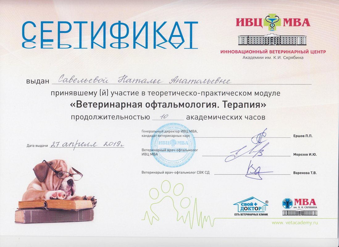 Документ или сертификат