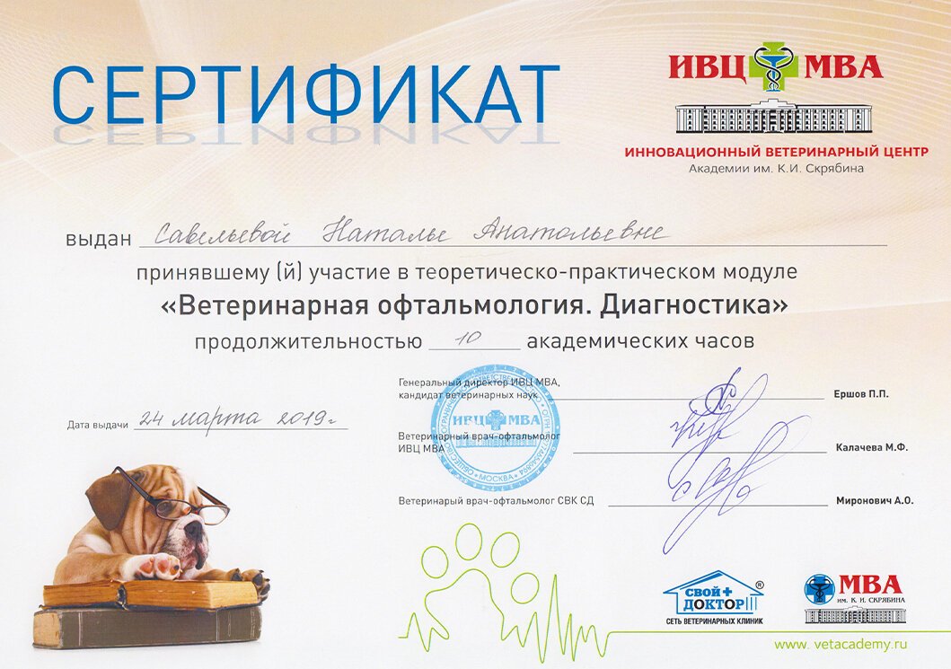 Документ или сертификат