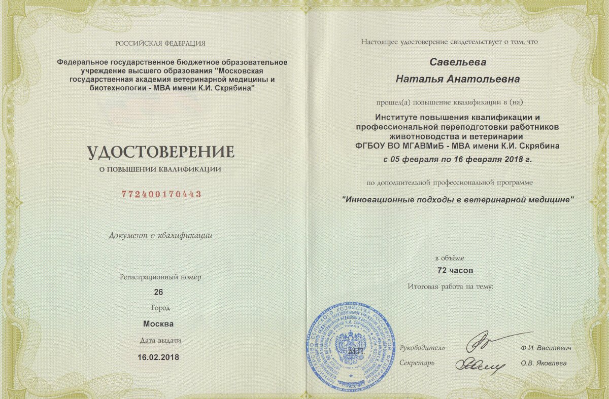 Документ или сертификат