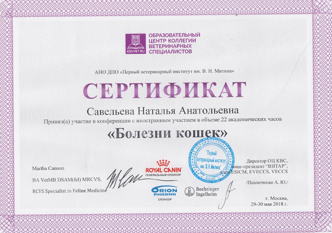 Документ или сертификат