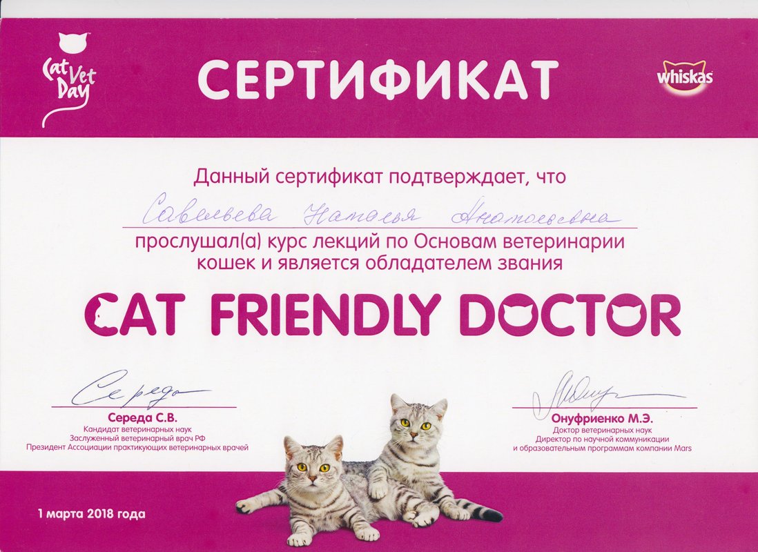 Документ или сертификат