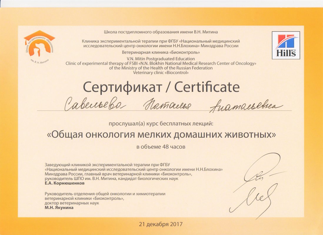 Документ или сертификат