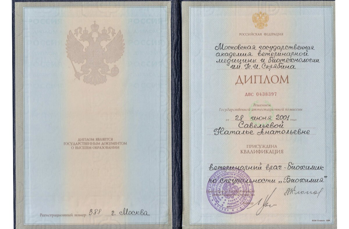 Документ или сертификат