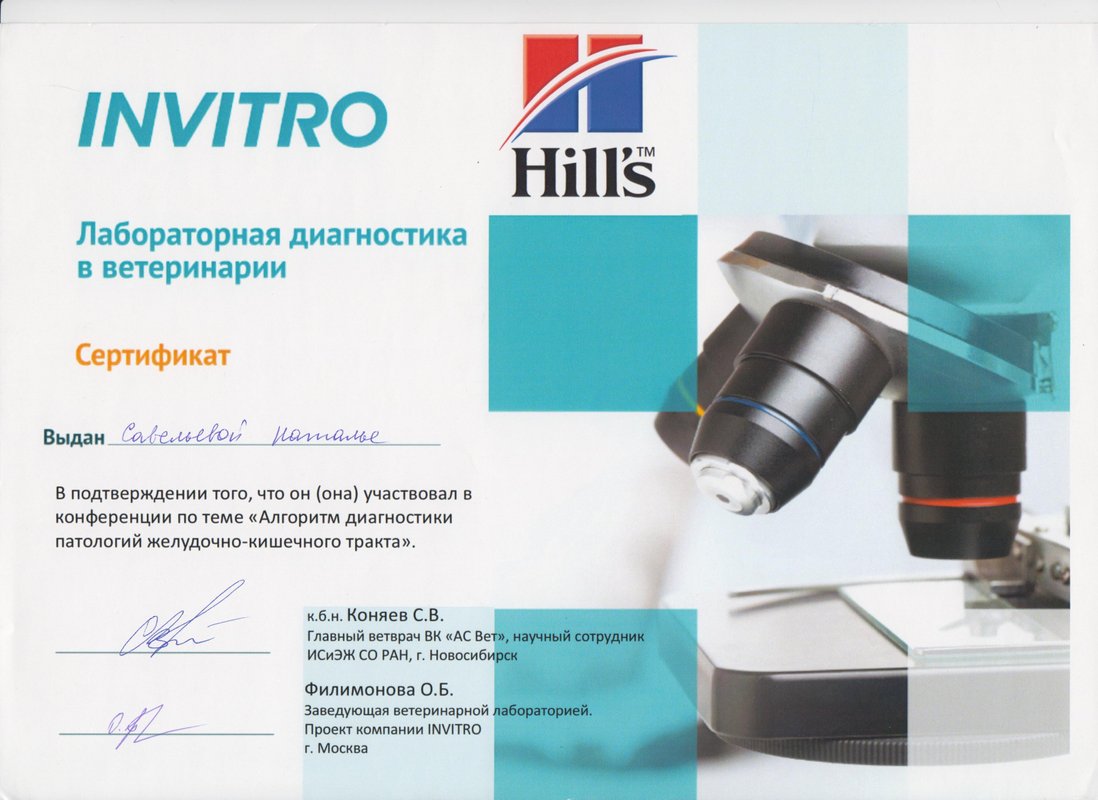 Документ или сертификат