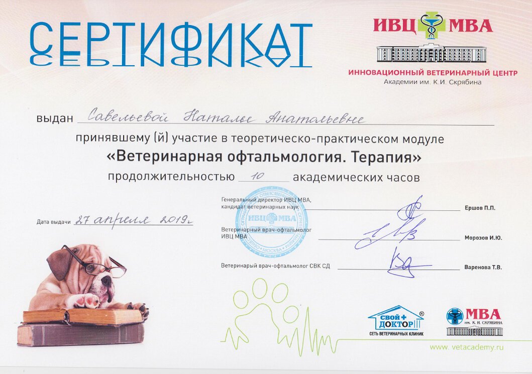 Документ или сертификат