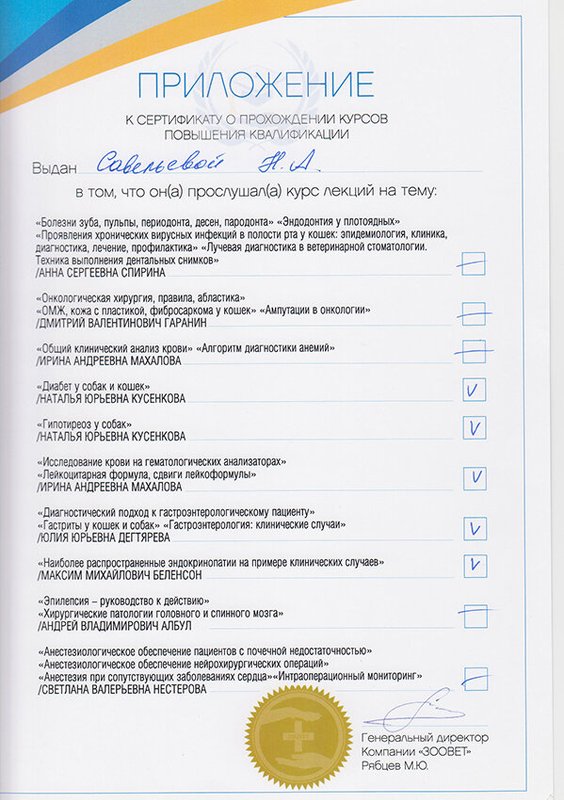 Документ или сертификат