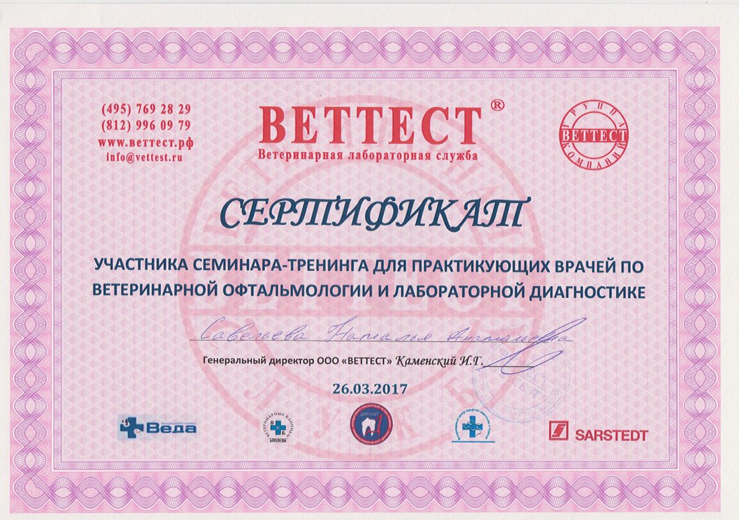 Документ или сертификат