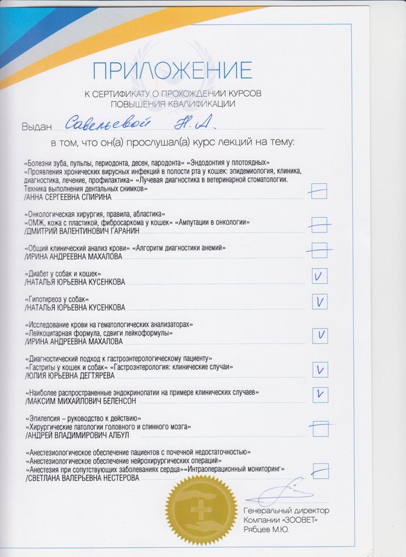Документ или сертификат