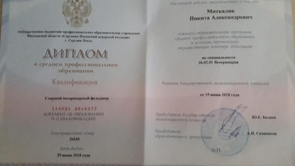 Документ или сертификат