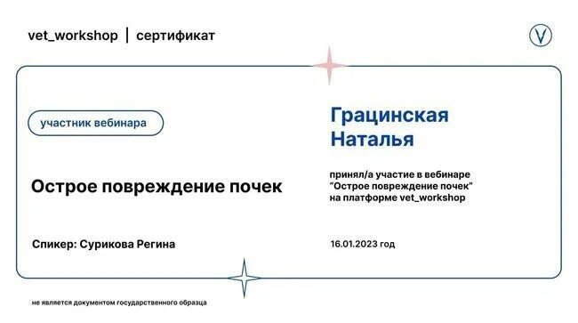 Документ или сертификат
