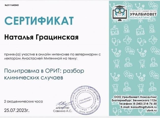 Документ или сертификат