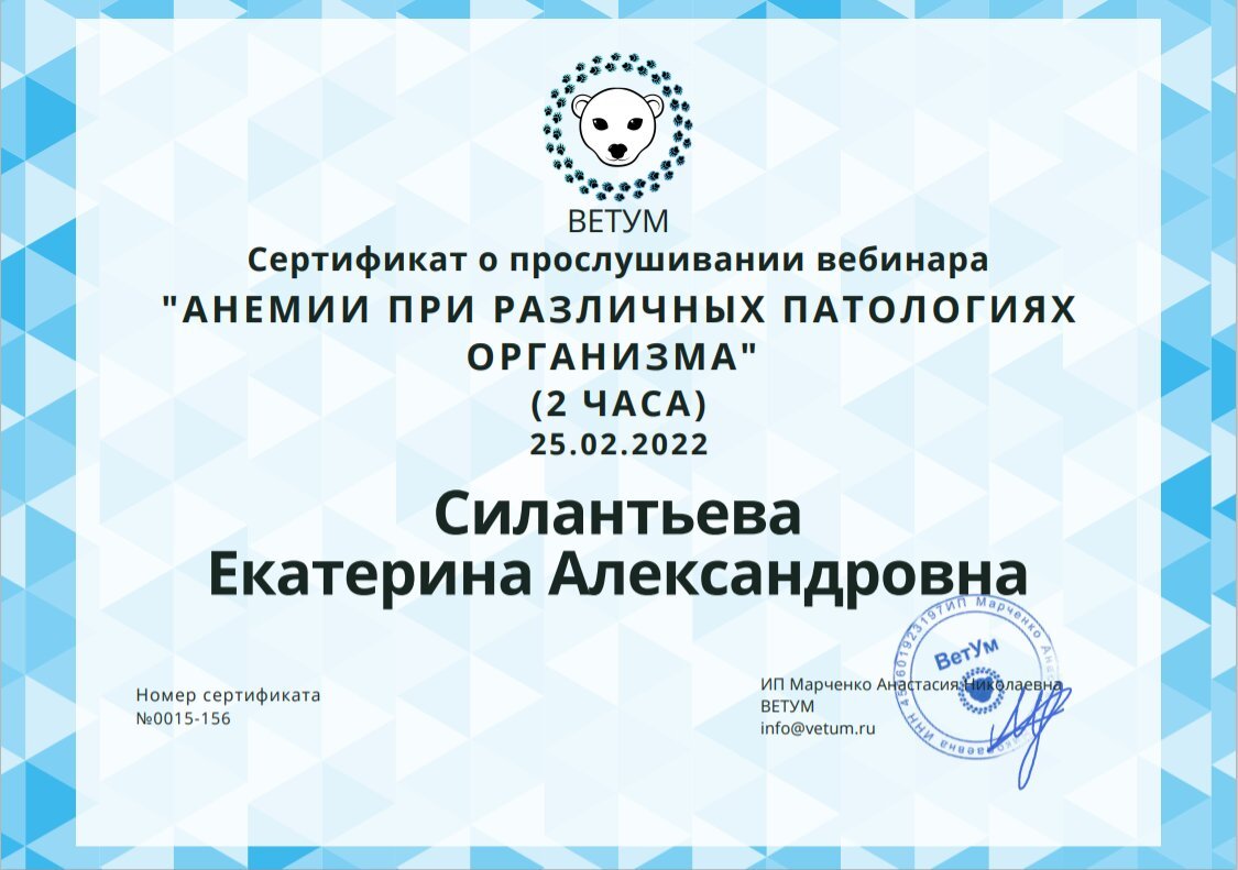 Документ или сертификат