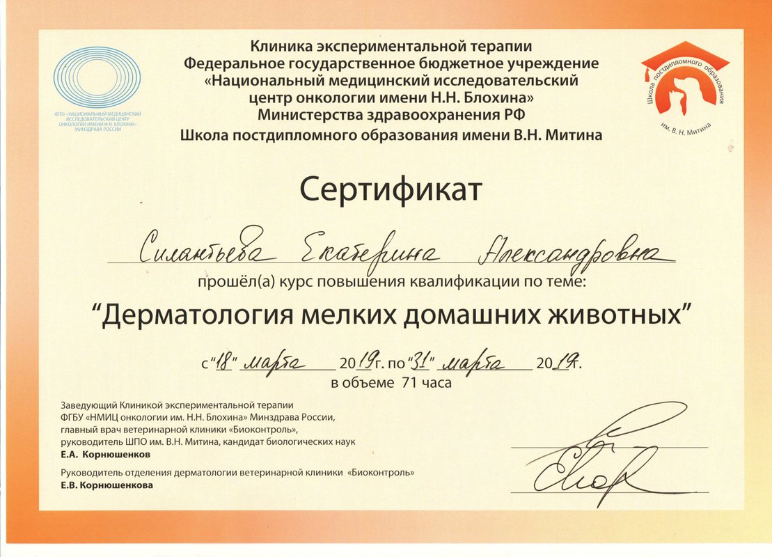 Документ или сертификат