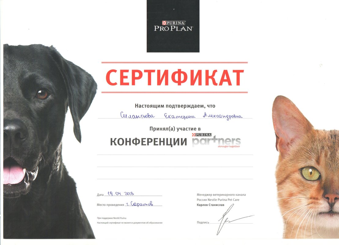 Документ или сертификат
