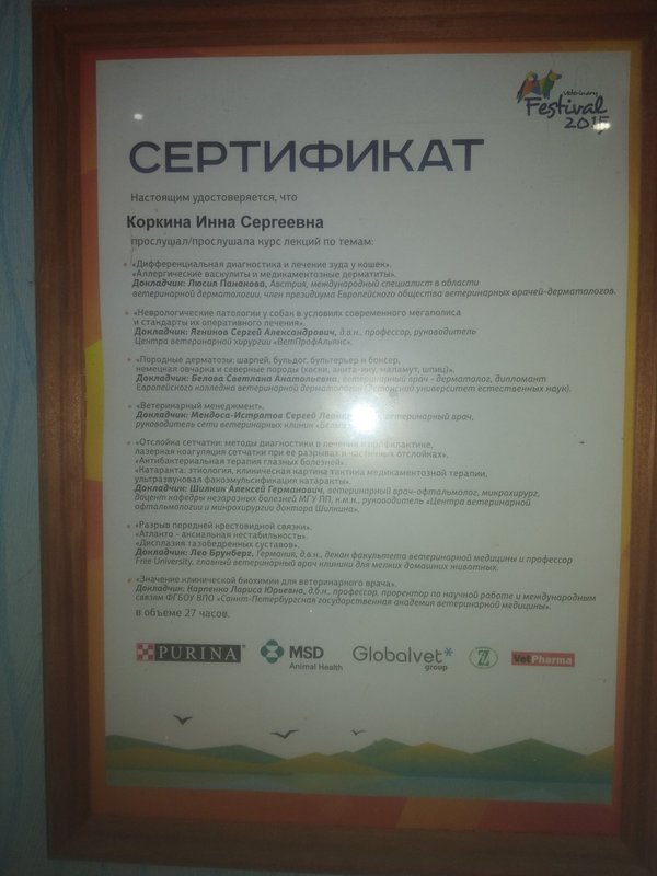 Документ или сертификат