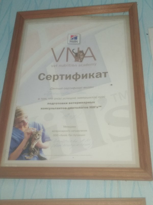 Документ или сертификат