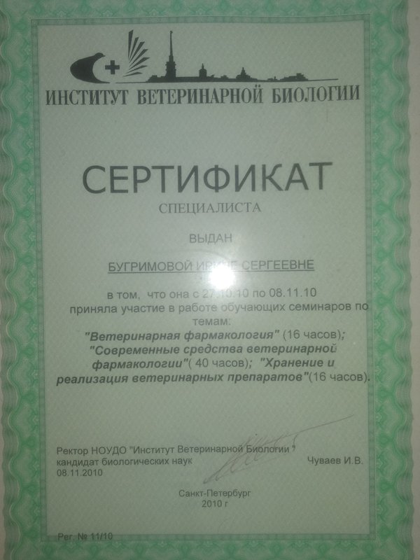Документ или сертификат