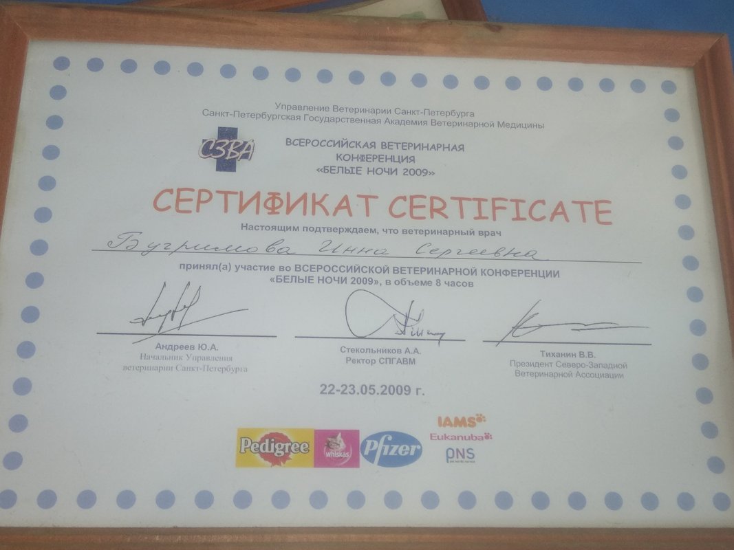 Документ или сертификат