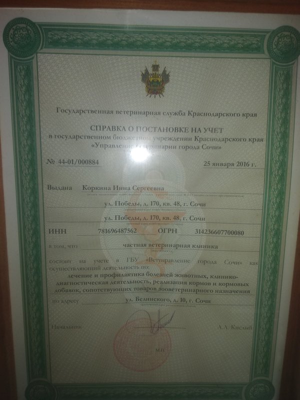 Документ или сертификат