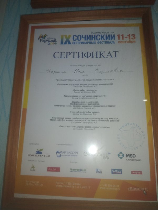 Документ или сертификат