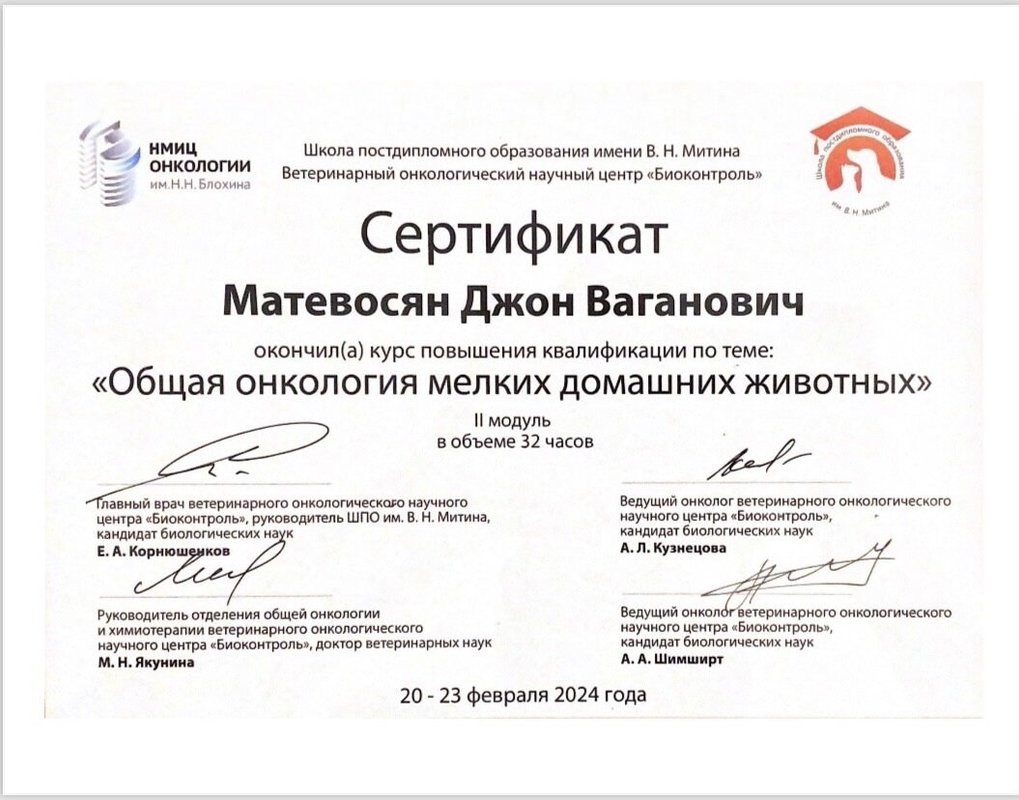 Документ или сертификат