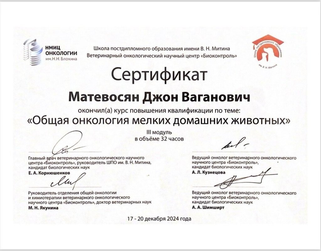 Документ или сертификат