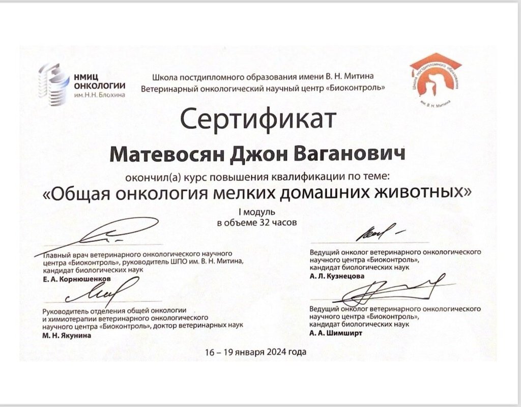 Документ или сертификат