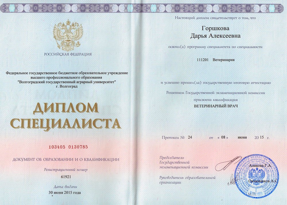 Документ или сертификат