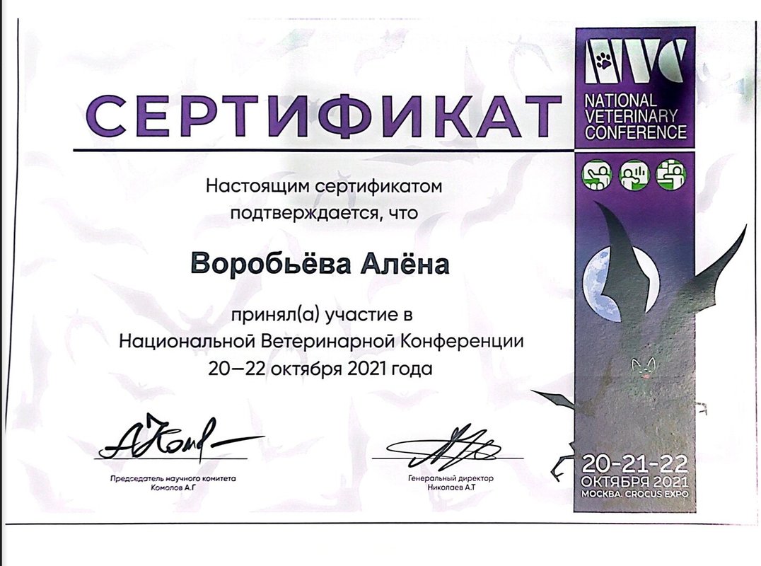 Документ или сертификат