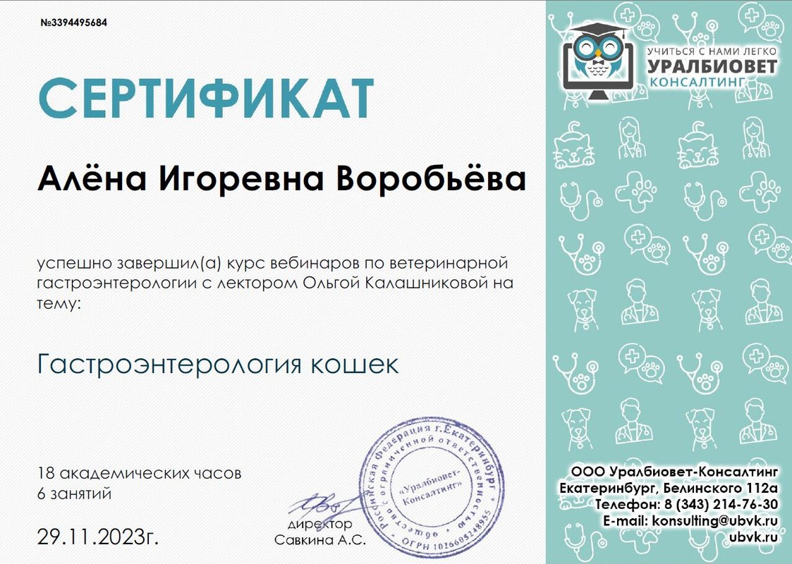 Документ или сертификат