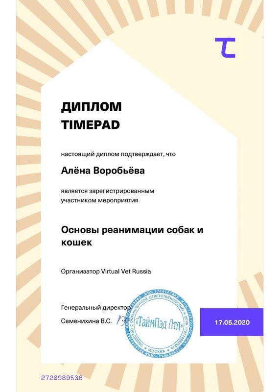 Документ или сертификат