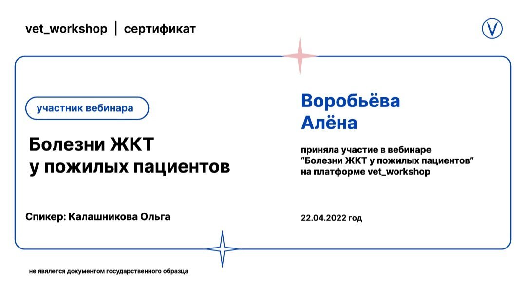 Документ или сертификат